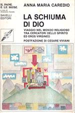 La schiuma di Dio. Viaggio nel mondo religioso tra cercatori dello spirito ed eros virgineo