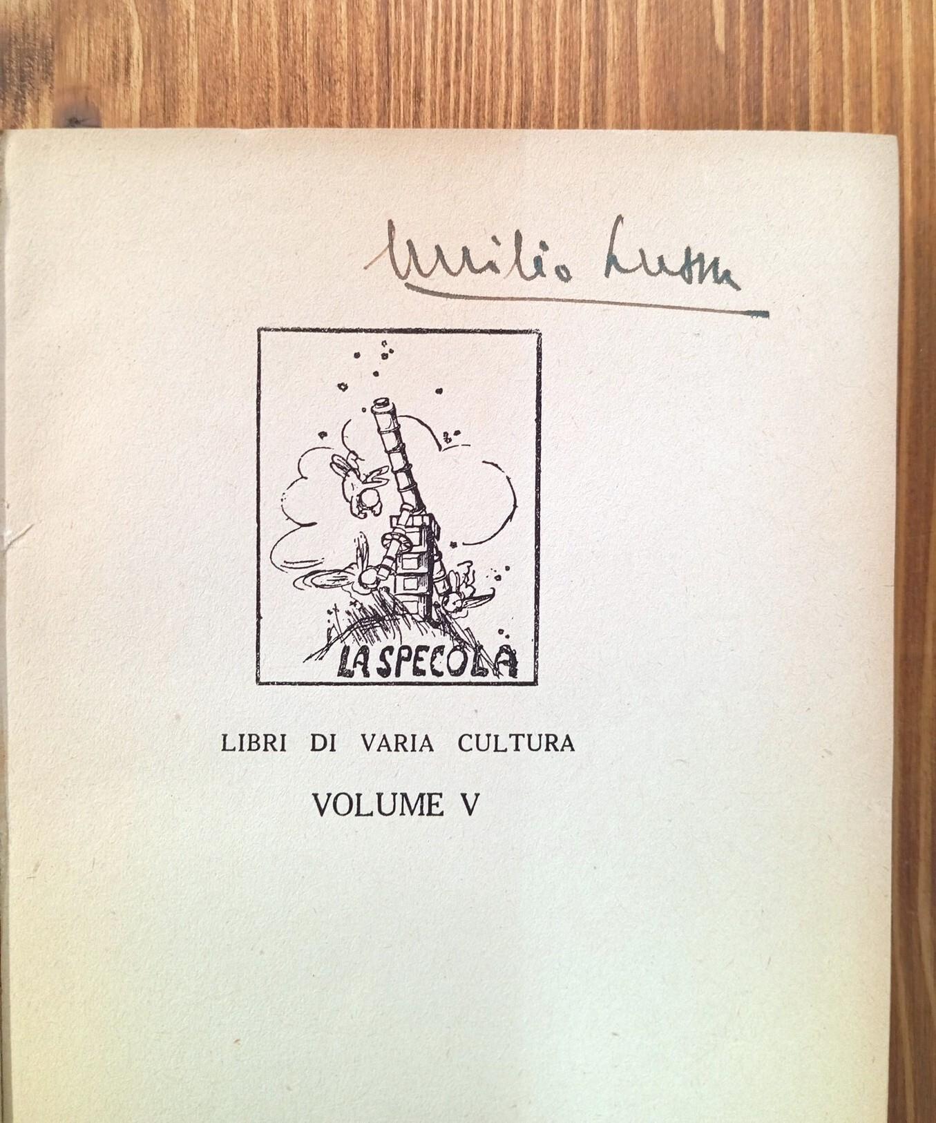 Teoria della insurrezione. Saggio critico