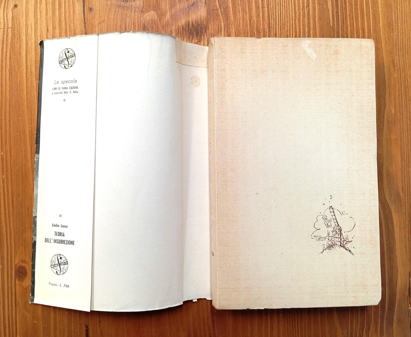 Teoria della insurrezione. Saggio critico