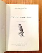 Avifauna ravennate