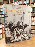 Canavese