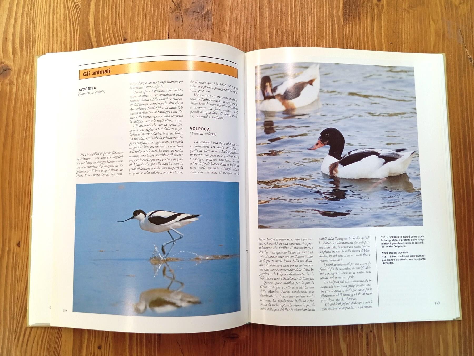 Le perle verdi della Sicilia. Viaggio alla scoperta delle riserve naturali