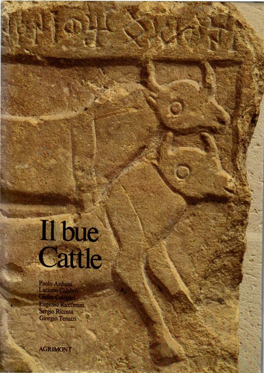 Il bue - Cattle - Paolo Arduini - copertina