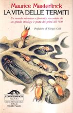 La vita delle termiti
