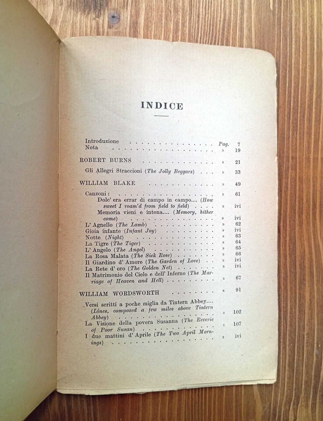 Poeti inglesi dell'Ottocento