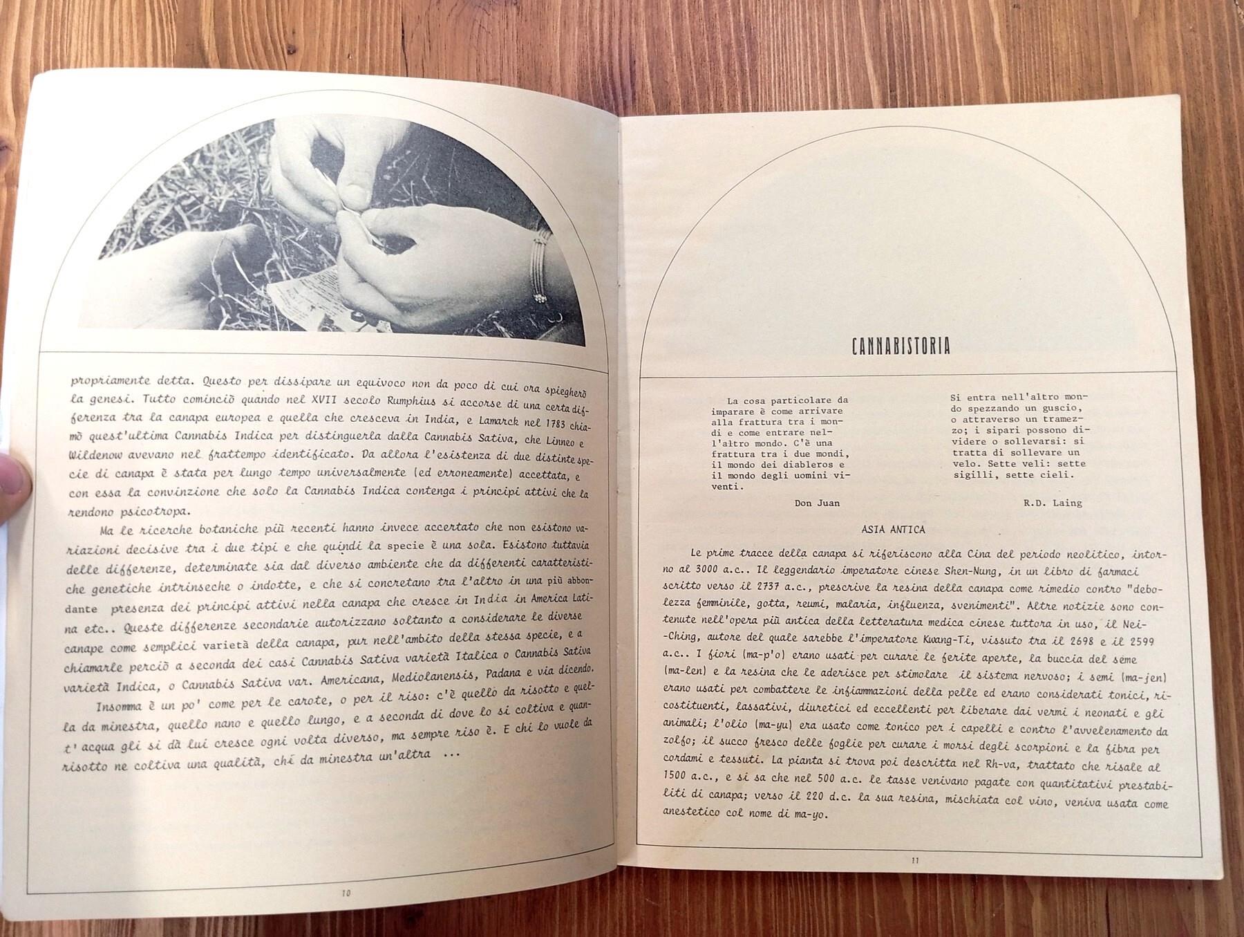 Campa cavallo che l'erba cresce. Storia, cucina e coltura della canapa