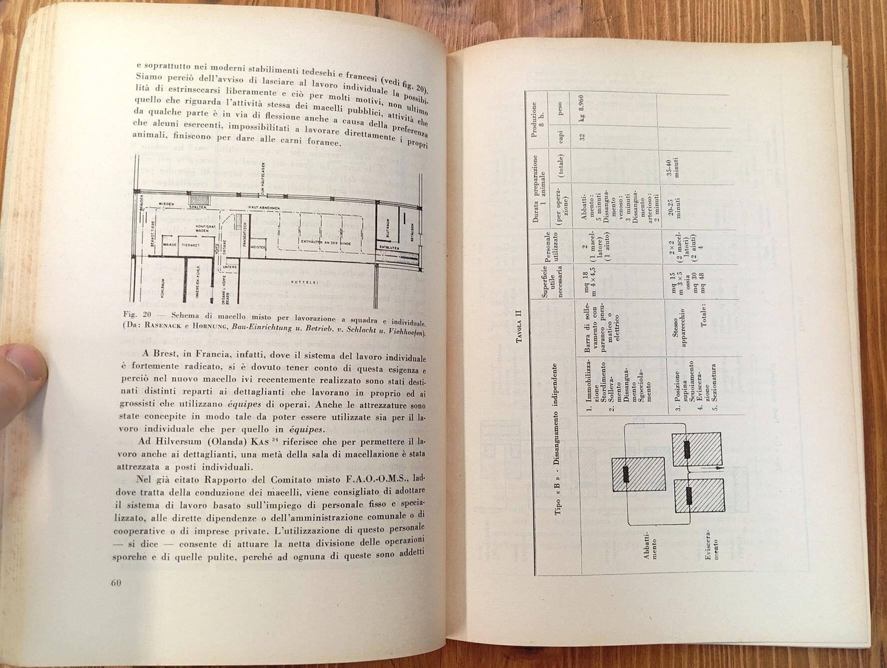 L' igiene della macellazione nel quadro della moderna organizzazione dei mattatoi pubblici. Relazione al XV convegno della Società italiana delle scienze veterinarie, Gardone, 28 settembre - 1 ottobre 1961