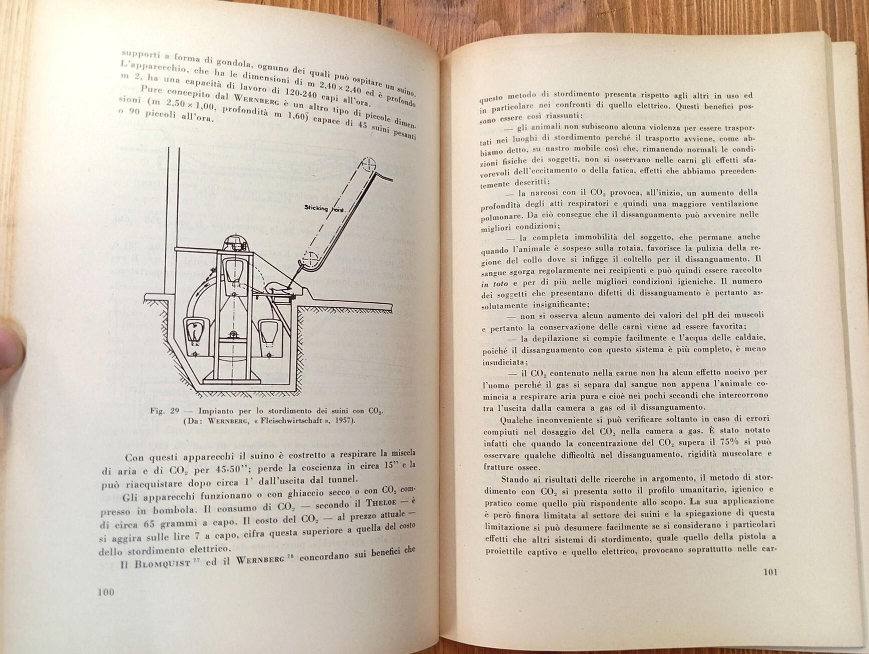 L' igiene della macellazione nel quadro della moderna organizzazione dei mattatoi pubblici. Relazione al XV convegno della Società italiana delle scienze veterinarie, Gardone, 28 settembre - 1 ottobre 1961