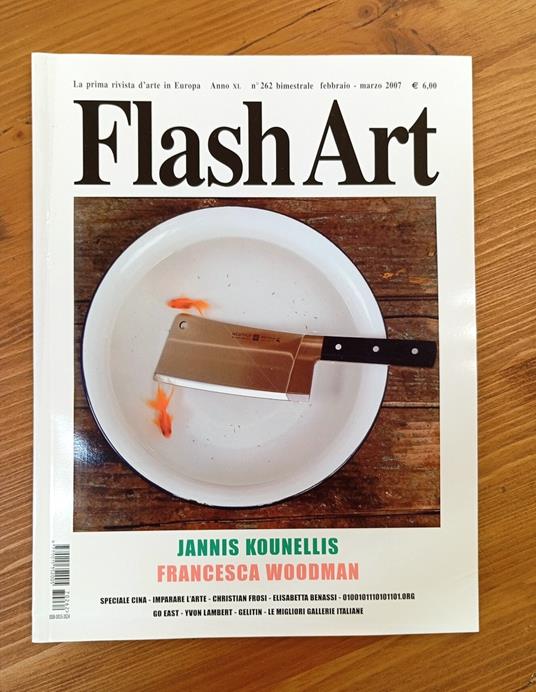 Flash Art - anno XL, n. 262, febbraio-marzo 2007 - copertina