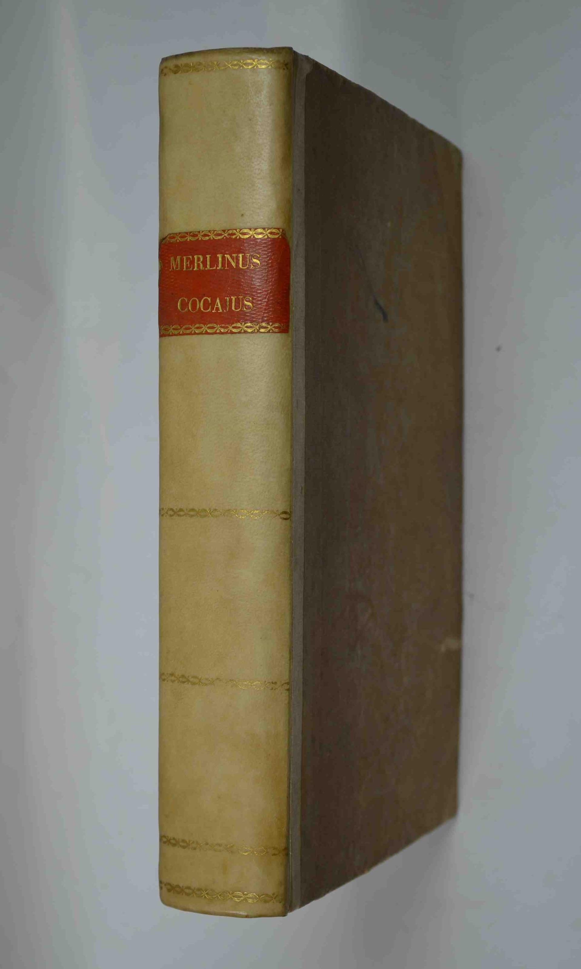 Opus macaronicarum notis illustratum, cui accessit vocabolarium vernaculum, etruscum, et latinum. Editio omnium locuplentissima…