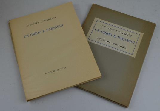 Un grido e paesaggi - copertina