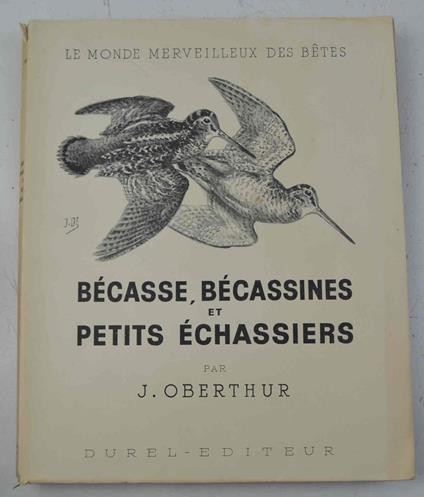 Bécasse, Bécassines et petits échassiers.. - J. Oberthur - copertina