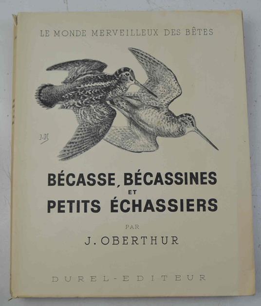 Bécasse, Bécassines et petits échassiers.. - J. Oberthur - copertina