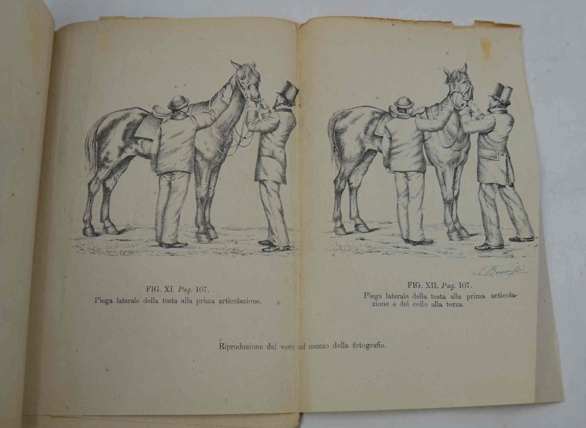 Studio bibliografico Benacense