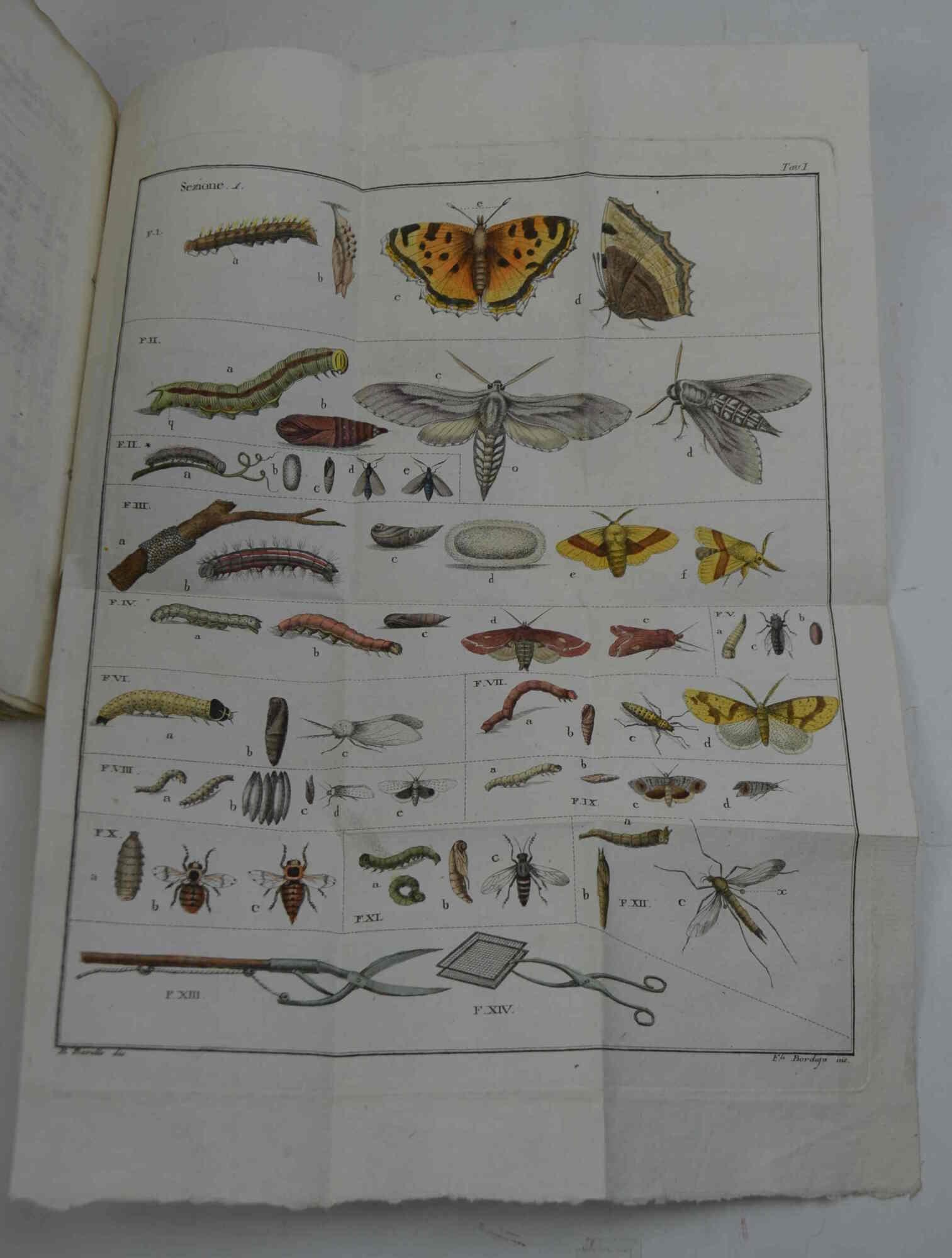 Studio bibliografico Benacense