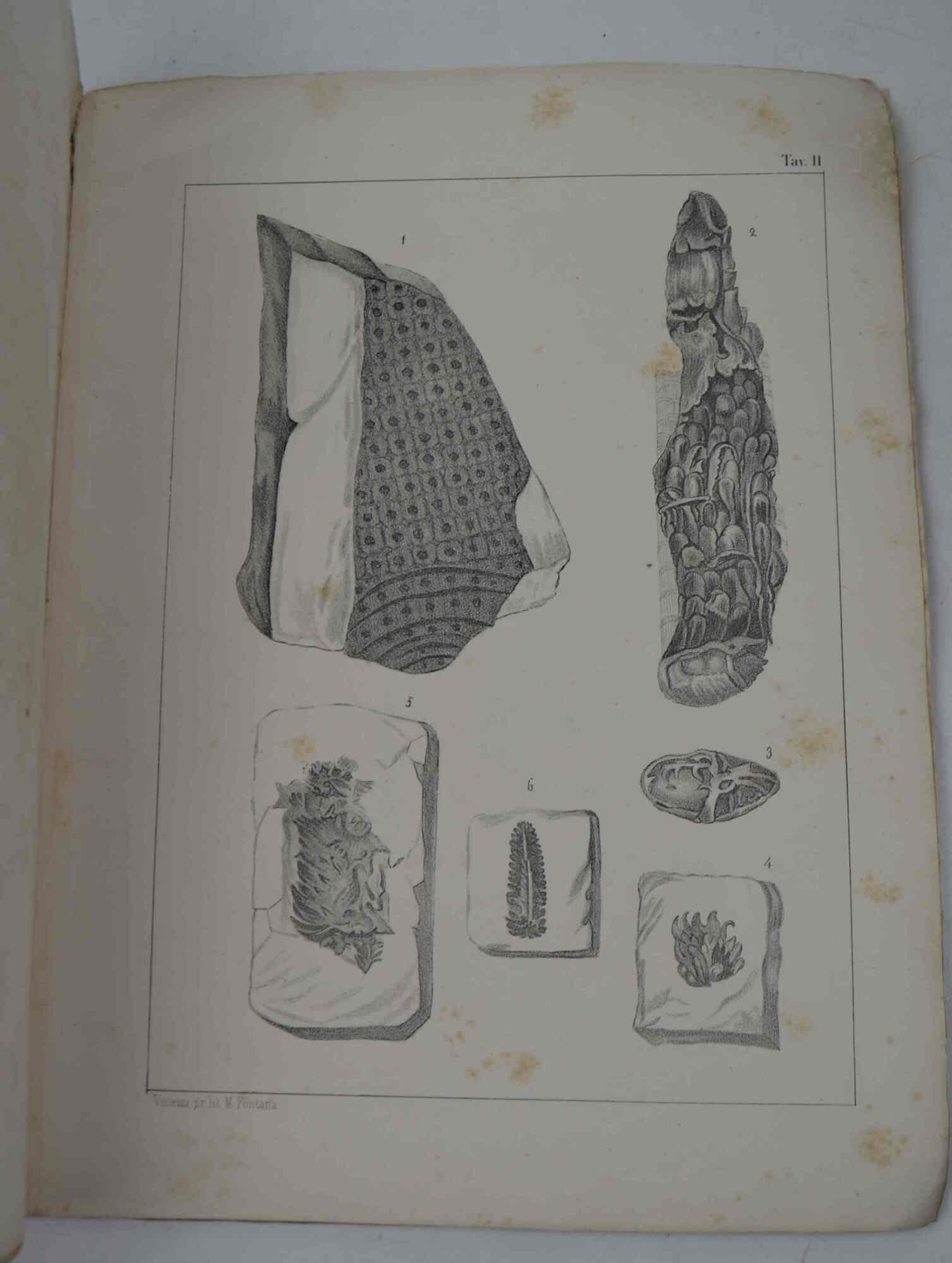 Studio bibliografico Benacense