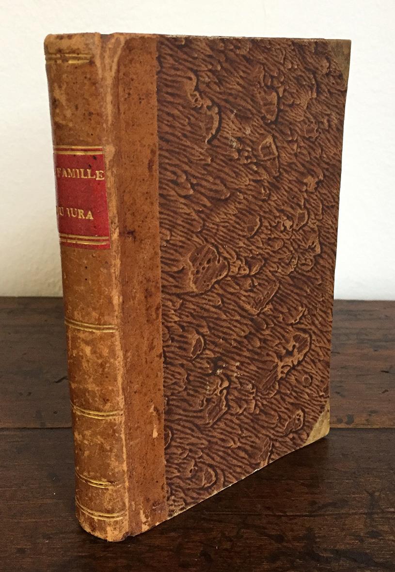 Irons-nous à Paris? ou la famille du Jura. Roman plein de vérités. Troisième édition