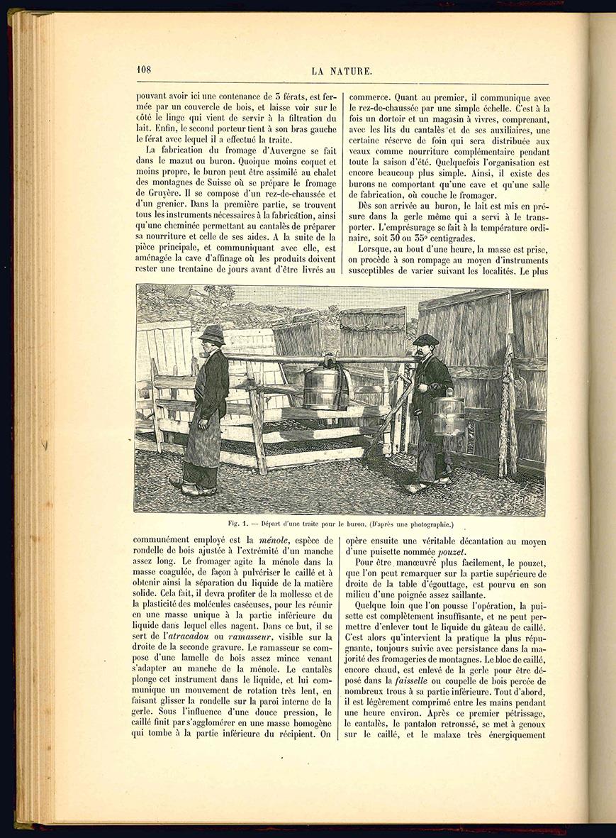 Libreria Alberto Govi