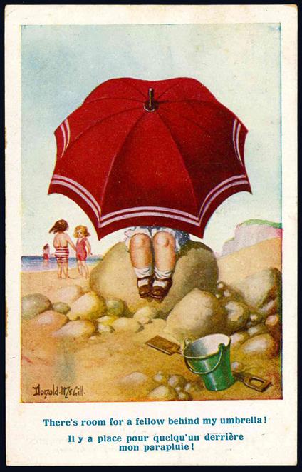 Cartolina illustrata (mm 140x99) - Donald Mcgill - copertina