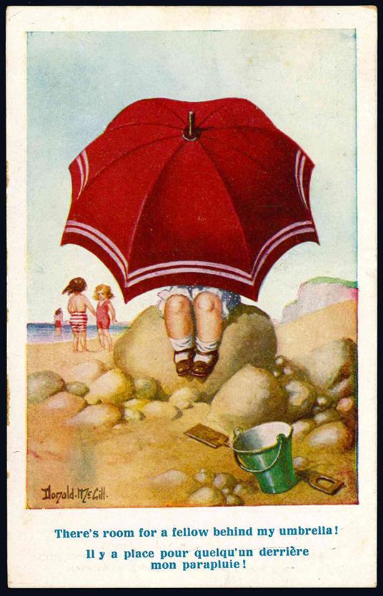 Cartolina illustrata (mm 140x99) - Donald Mcgill - copertina