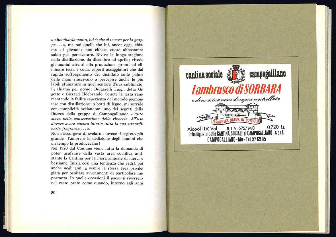 Campogalliano e la cantina sociale 1908-1978