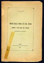 Bronzi della prima eta del ferro scoperti a Tre Canali nel Vizzinese (Provincia di Catania)