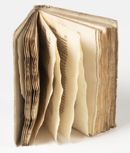 De vita, & rebus gestis Andreae Auriae Melphiae principis libri duo. Ab auctore postremò recogniti - Carlo Sigonio - copertina