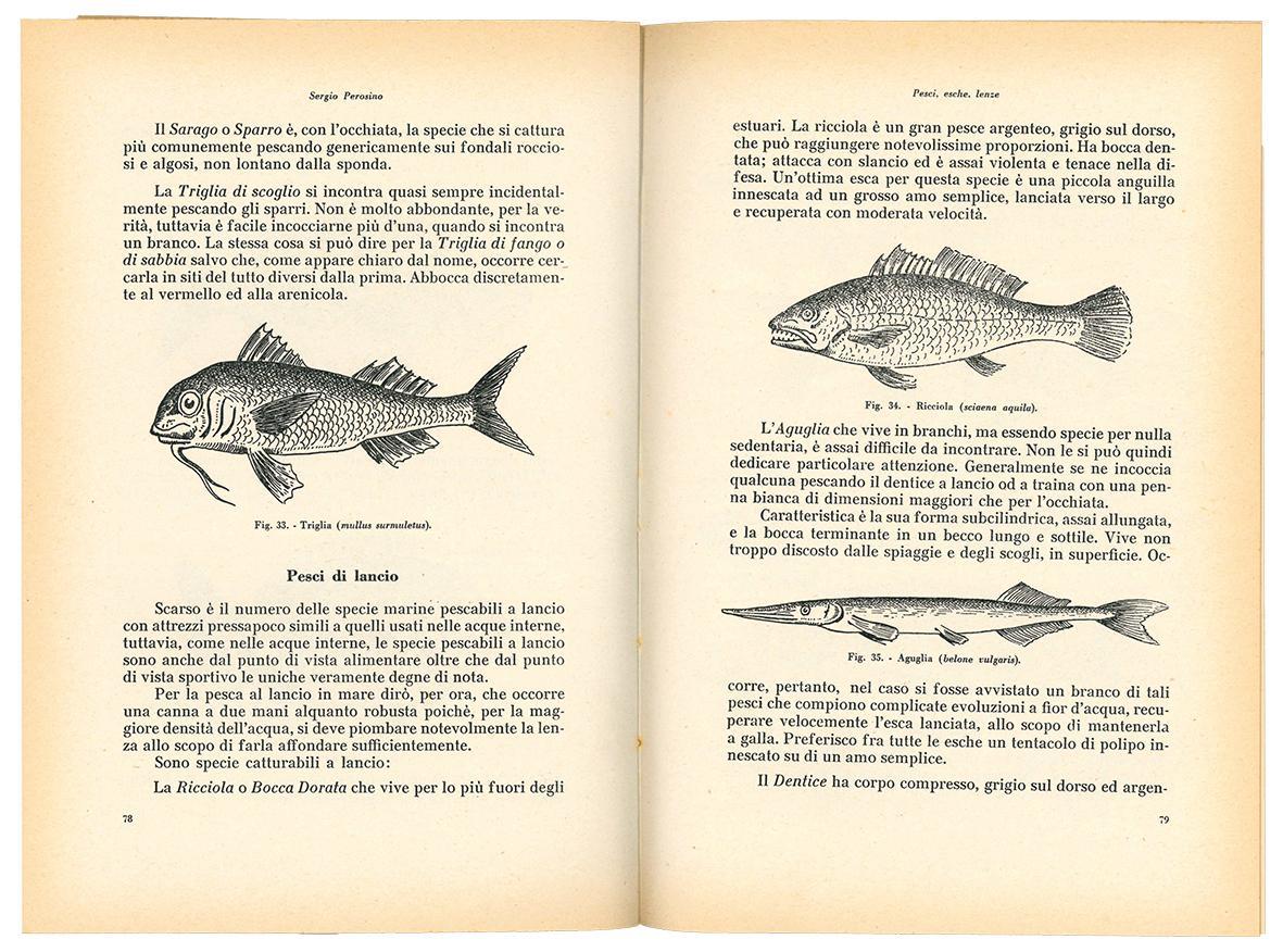 La pesca sportiva in Italia: pesci, esche, lenze