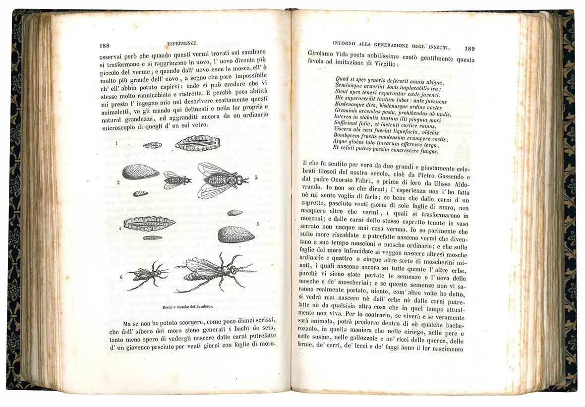 Libreria Alberto Govi