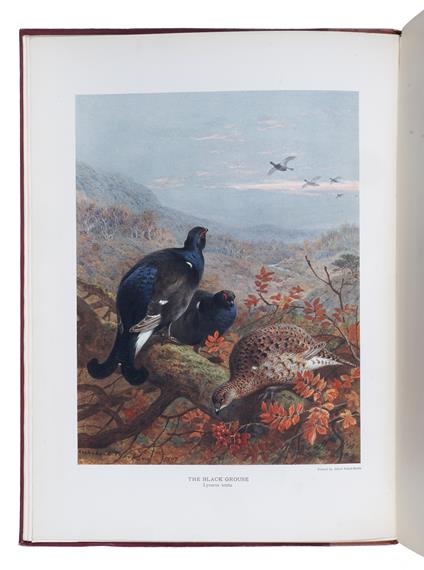 The Natural History of British Game Birds - John Guille Millais - copertina
