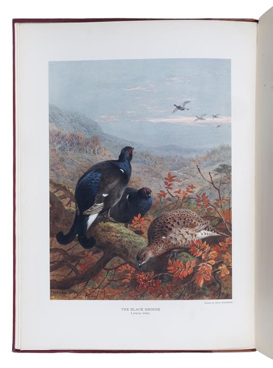 The Natural History of British Game Birds - John Guille Millais - copertina