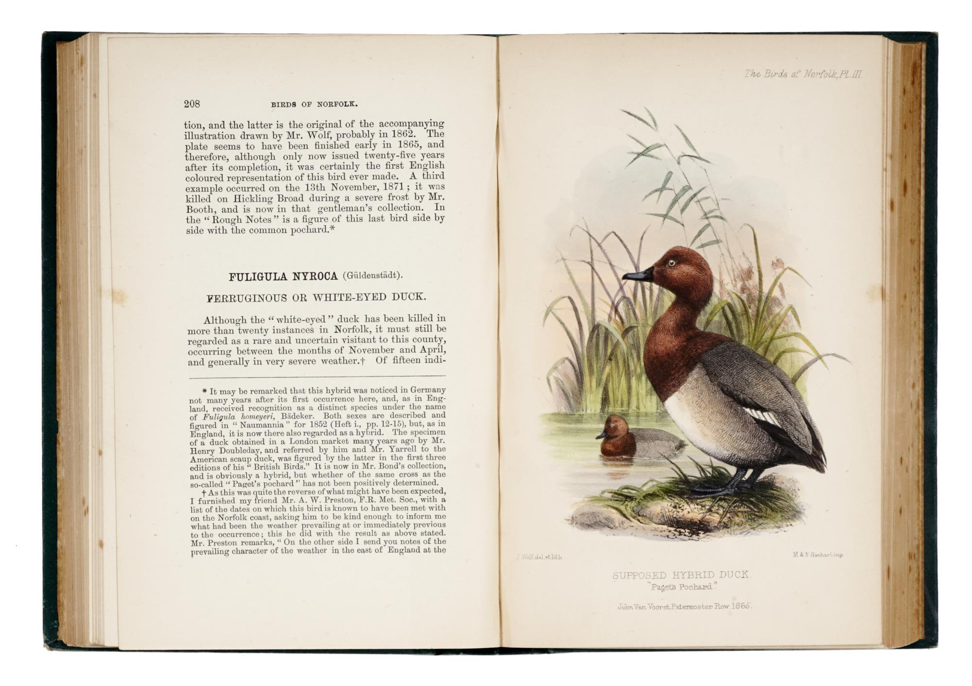 The birds of Norfolk with remarks on their habits, migration and local distribution. In two volumes. Vol. I [-III]