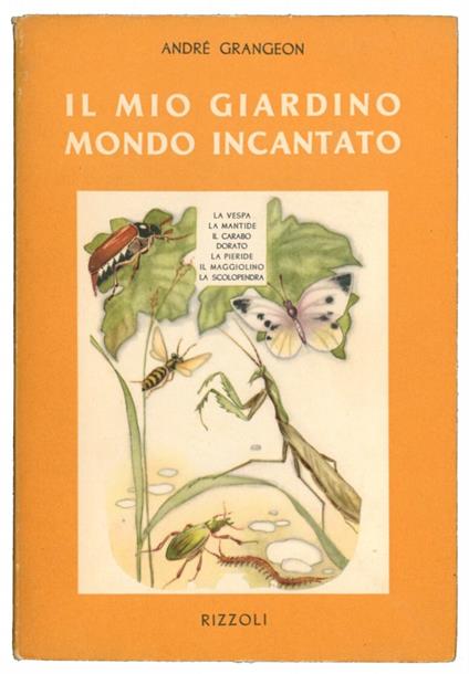 Il mio giardino mondo incantato. Vol. 3. La vespa, la mantide, il carabo dorato, il maggiolino, la pieride, la scolopendra - André Grangeon - copertina