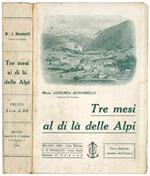 Tre mesi al di là delle Alpi