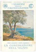 La concimazione dell'olivo