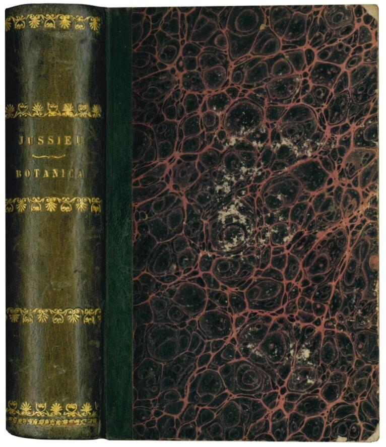 Libreria Alberto Govi