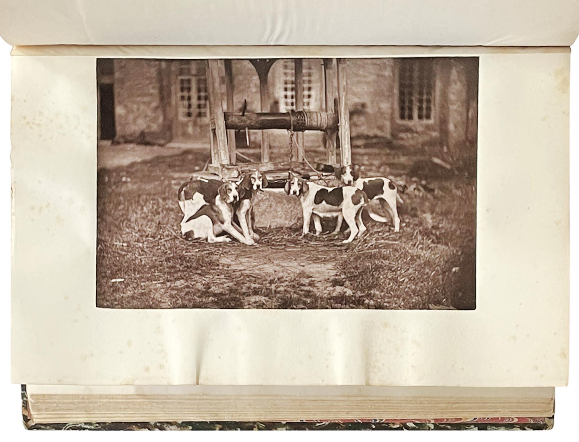 Libreria Alberto Govi