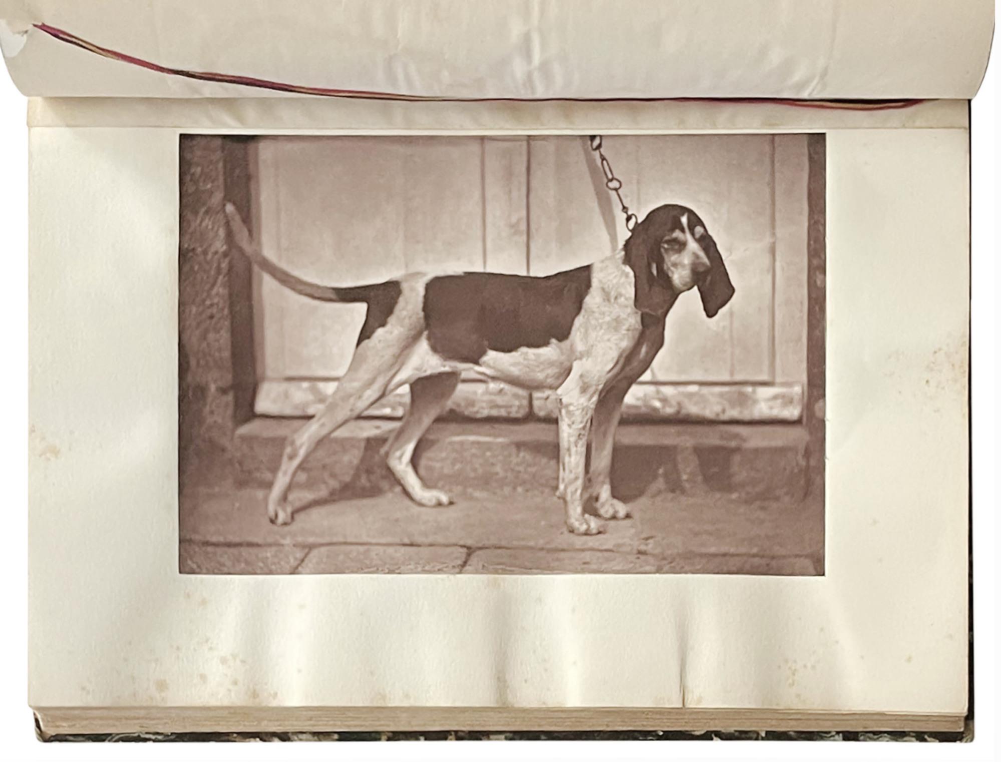 La chasse du Chevreuil avec l'Historique des races les plus célèbres de Chiens courants existant ou ayant existé en France par Le Comte de Chabot