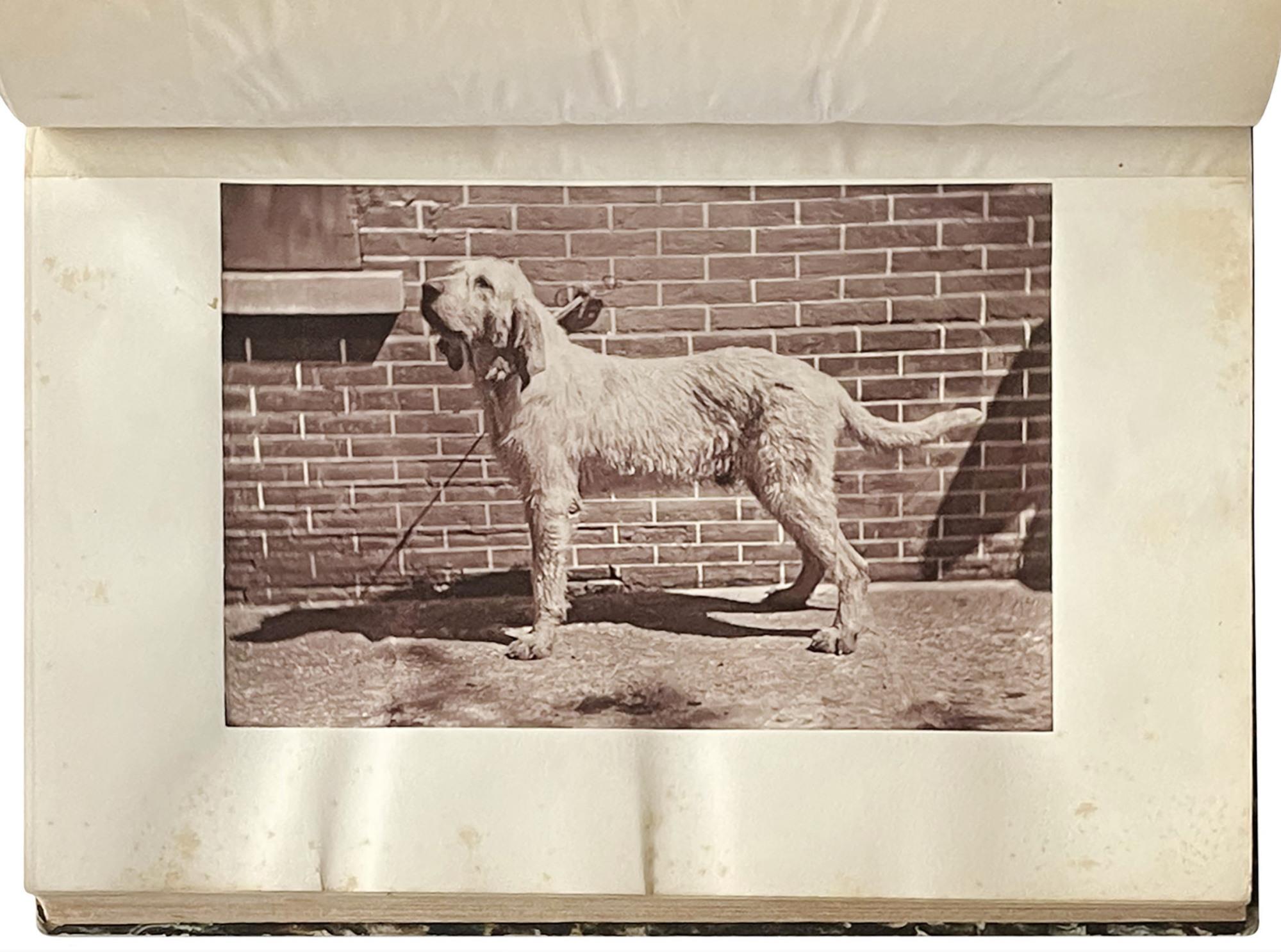 La chasse du Chevreuil avec l'Historique des races les plus célèbres de Chiens courants existant ou ayant existé en France par Le Comte de Chabot