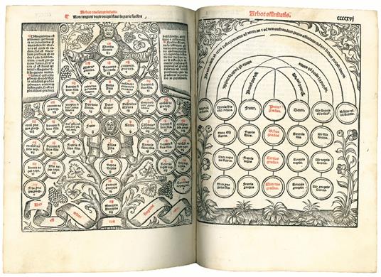 Decretales domini pape Gregorij noni acurata, diligentia nouissime quam pluribus cum exemplaribus emendate: aptissimisque imaginibus exculte: cum multiplicibus repertorijs antiquis: & de nouo factis ad materias quascunque inueniendas amplissimis. Add - copertina