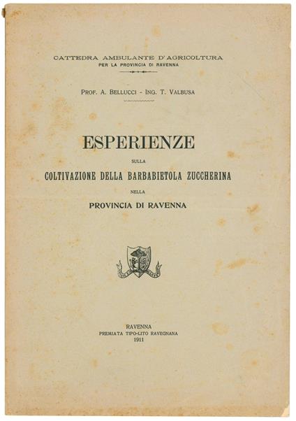 Esperienze sulla coltivazione della barbabietola zuccherina nella provincia di Ravenna - Adolfo Bellucci - copertina