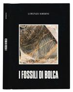 I fossili di Bolca