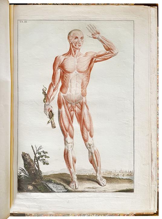 Anatomical atlas to "Anatomia per uso degli studiosi di scultura e pittura. Opera postuma di Paolo Mascagni" - copertina