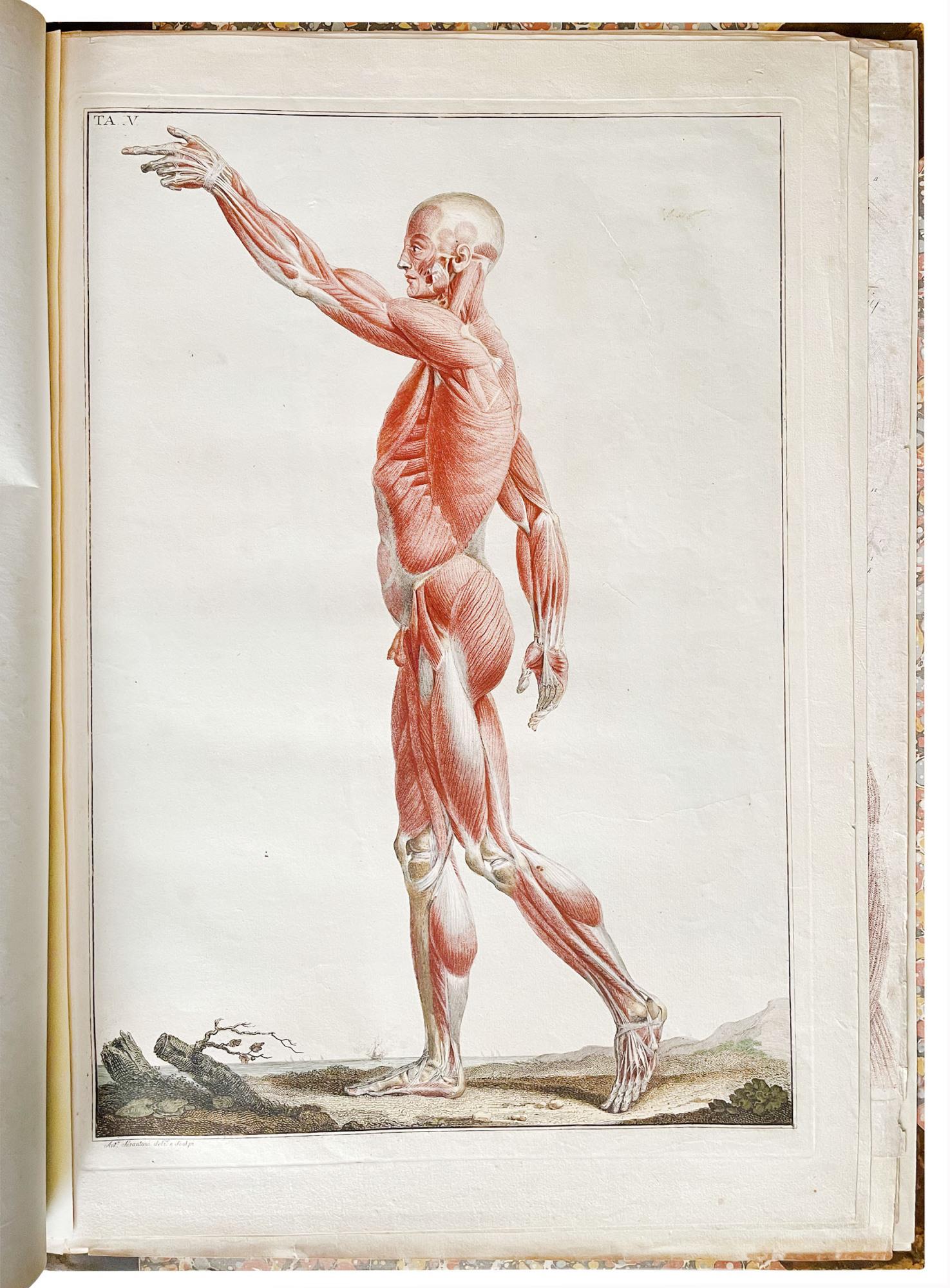 Libreria Alberto Govi