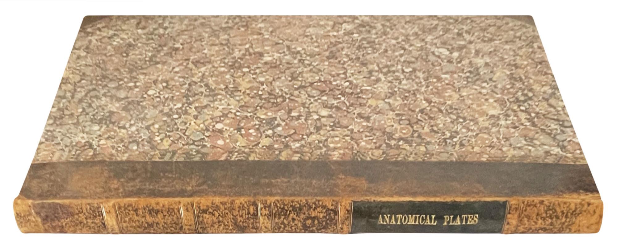 Anatomical atlas to "Anatomia per uso degli studiosi di scultura e pittura. Opera postuma di Paolo Mascagni"