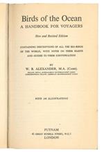 Birds of the ocean: a handbook for voyagers