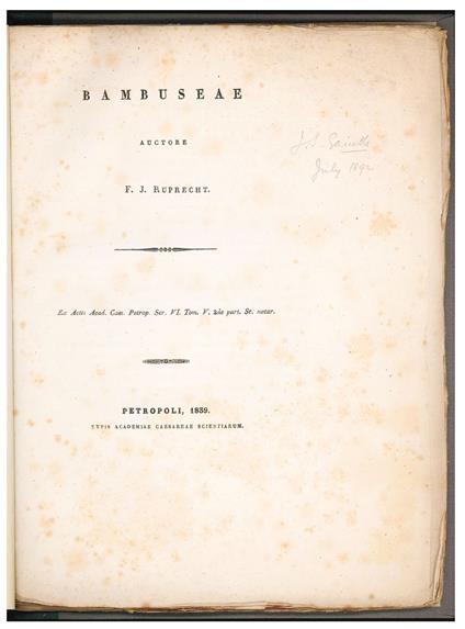 Bambuseae - copertina