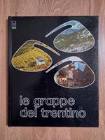 Le grappe del Trentino