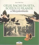 Gelsi, bachi da seta, bozzoli e filande a Mezzolombardo