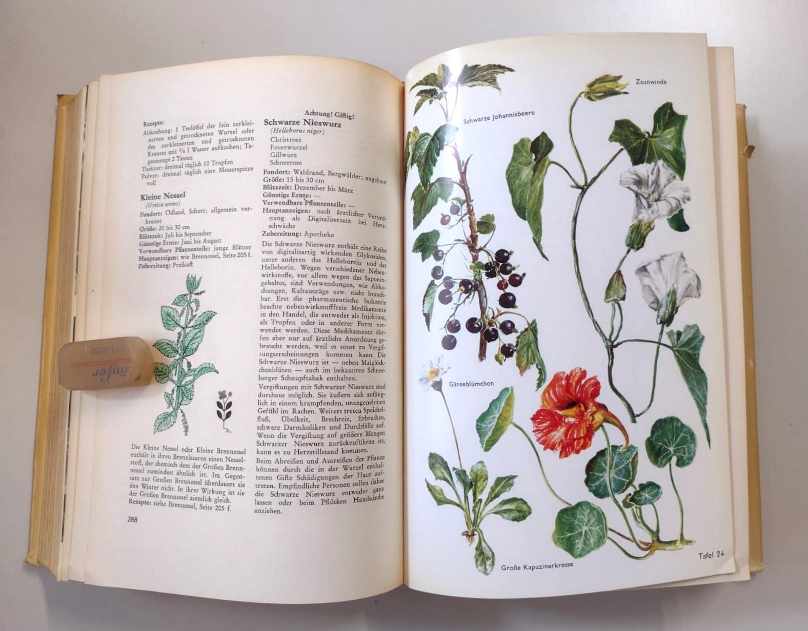 Das Kräuterbuch Gesund durch Heilkräuter und richtige Ernährung